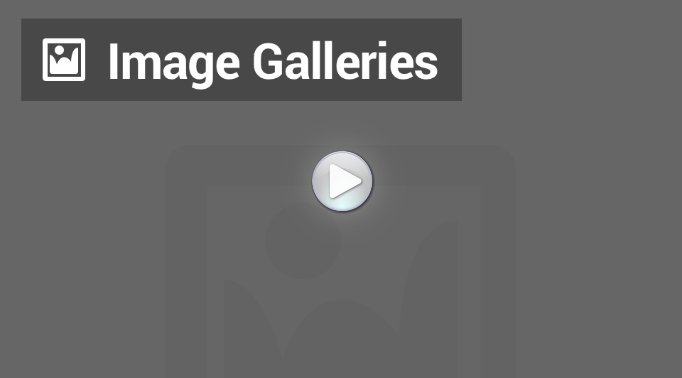 Using Image Galleries in WordPress